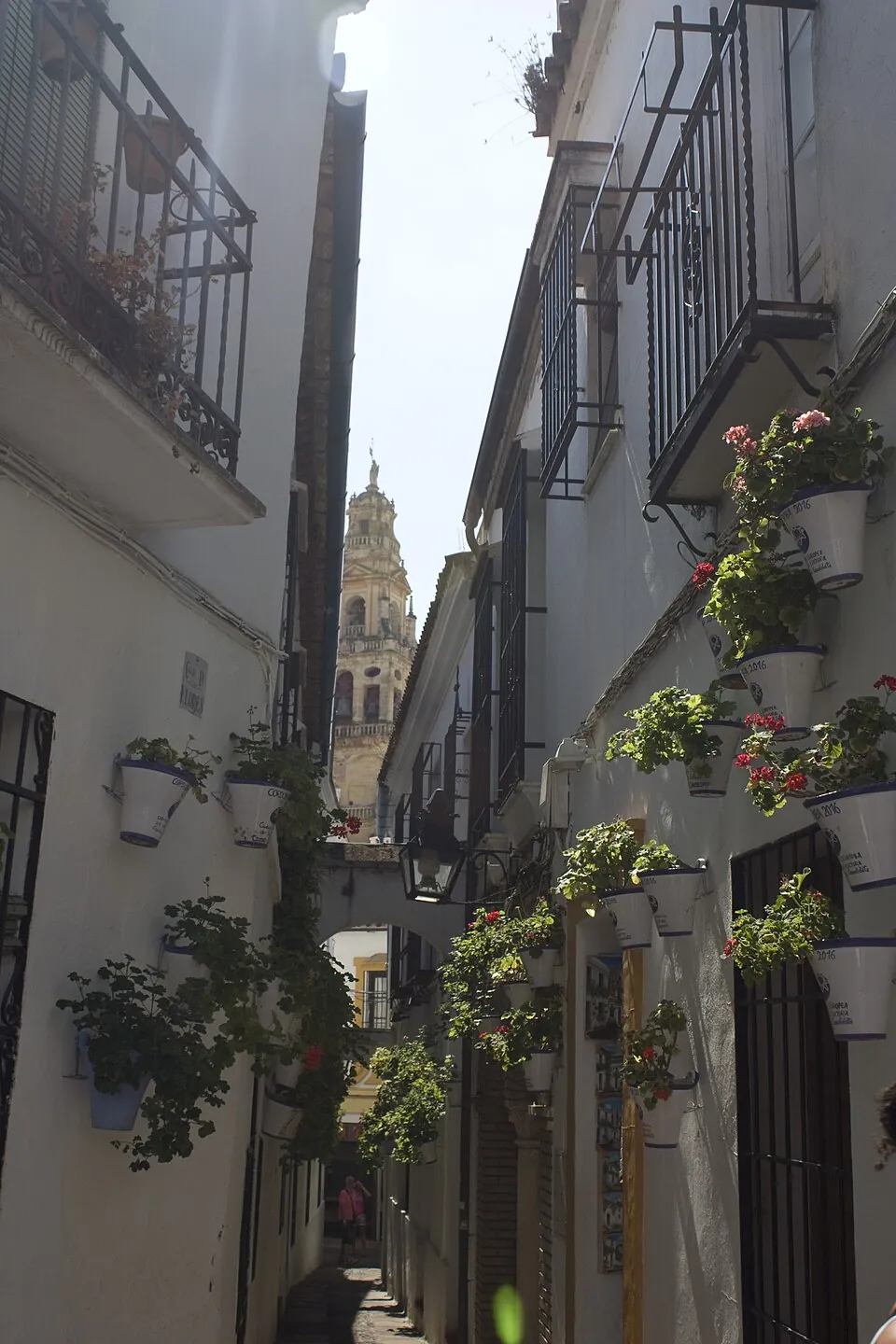 The Calleja de las Flores.