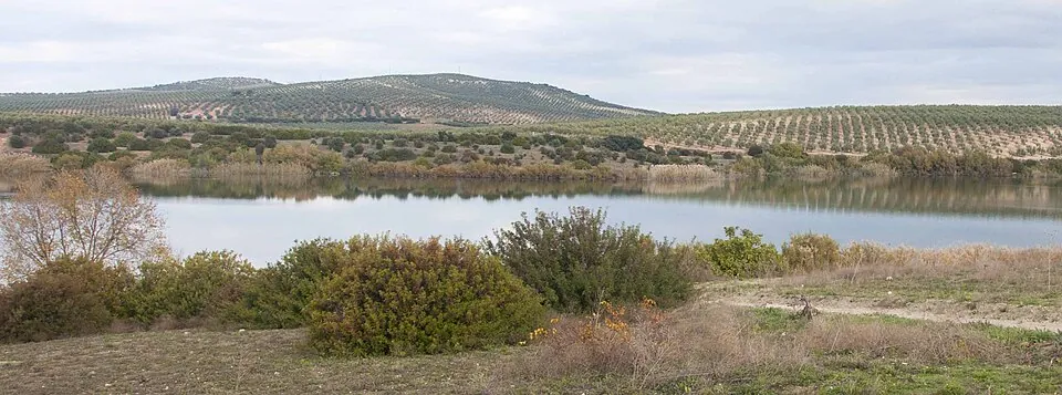 The Zóñar lagoon.