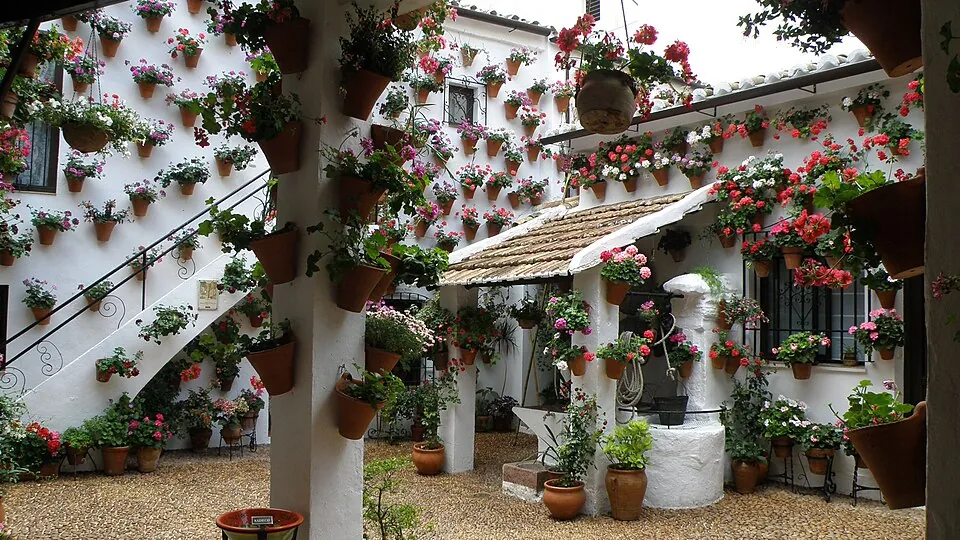 A Córdoba patio in May.