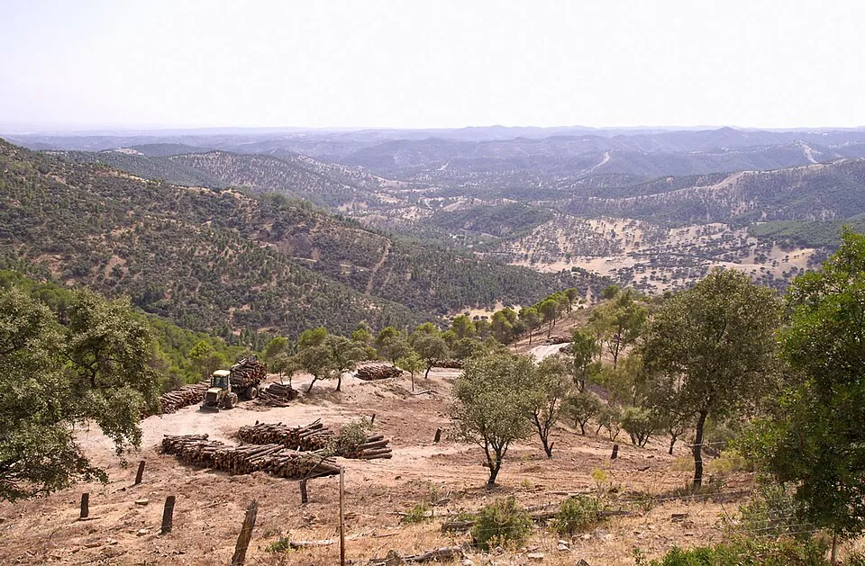 Dehesa of Los Pedroches.